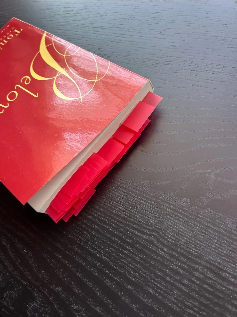Vintage International Beloved Toni Morrison Paperback Book Red 8